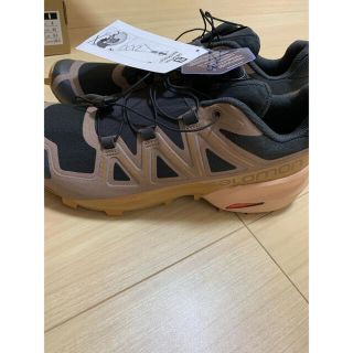 サロモン(SALOMON)のSPEEDCROSS 5 ✖️beamsコラボ　激レア商品(スニーカー)