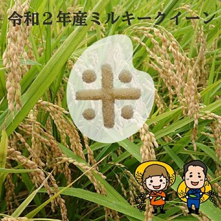 hinahinahinaco様専用です😊ミルキークイーン玄米5kg(米/穀物)