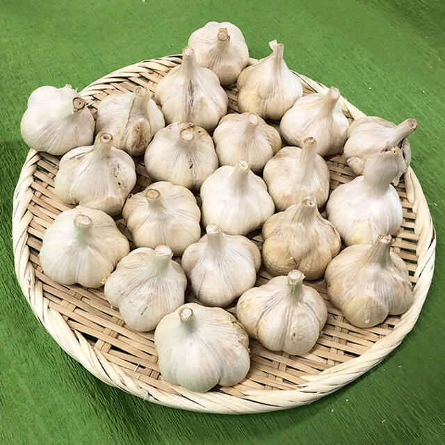 【上級品】青森県倉石産にんにく福地ホワイト六片種 Mサイズ 3kg 食品/飲料/酒の食品(野菜)の商品写真