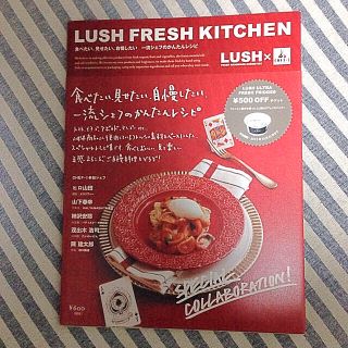 ラッシュ(LUSH)のLUSH レシピ本(住まい/暮らし/子育て)