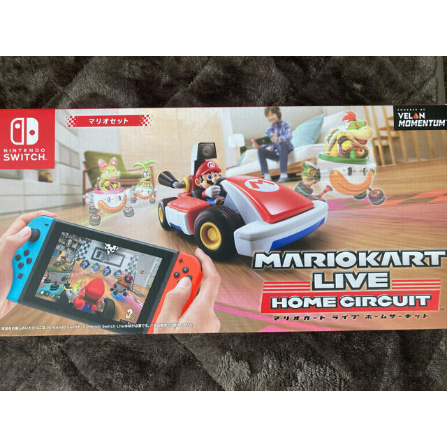 マリオカート ライブ ホームサーキット マリオセット Switch