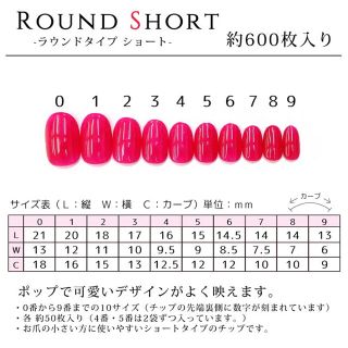 ネイルチップ ハンドメイドのアクセサリー(ネイルチップ)の商品写真