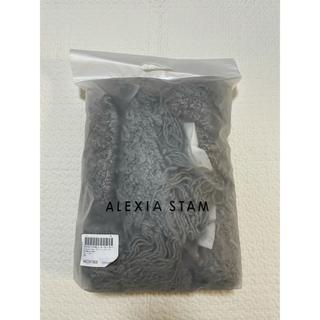 ALEXIA STAM(アリシアスタン)の新品未使用 ALEXIASTAM フリンジニットケープ レディースのトップス(ニット/セーター)の商品写真