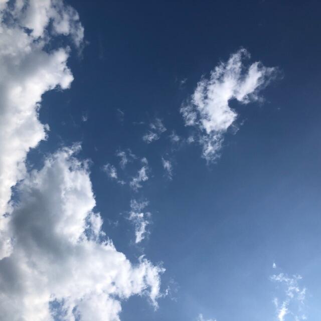 きゃっちゃー