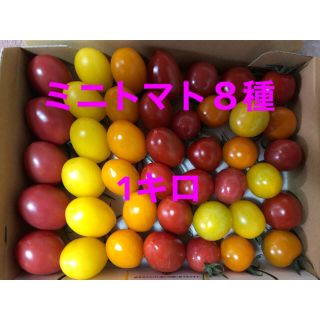 ミニトマト８種セット　1キロ(野菜)