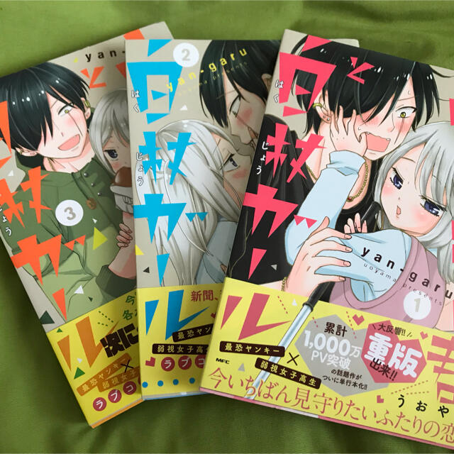 角川書店(カドカワショテン)のヤンキー君と白杖ガール1巻〜3巻 エンタメ/ホビーの漫画(少女漫画)の商品写真