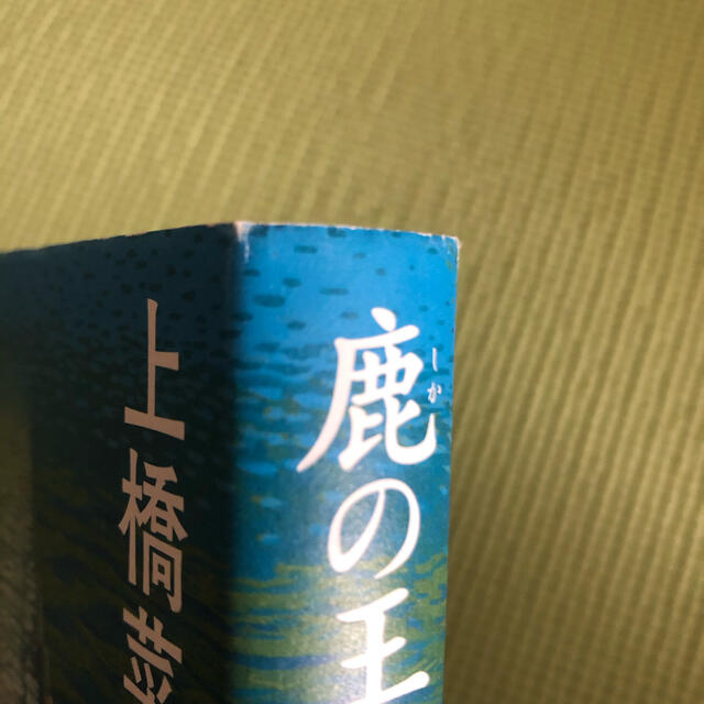 鹿の王　水底の橋 エンタメ/ホビーの本(文学/小説)の商品写真