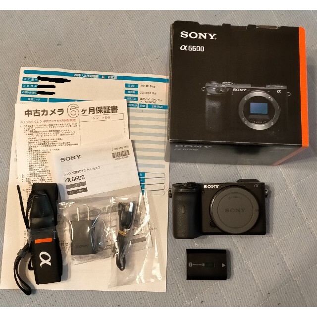 Sony α6600 ボディ