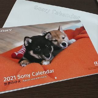 ソニー(SONY)の２０２１年　世界の仔犬カレンダー　ｂｙ　SONY(カレンダー/スケジュール)