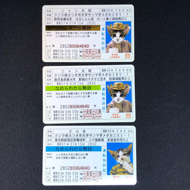 なめ猫 免許証 ゴールド フリマアプリ ラクマ