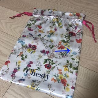 チェスティ(Chesty)の【非売品】chesty 巾着(ポーチ)