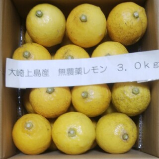 広島県大崎上島無農薬レモン　3kg(フルーツ)