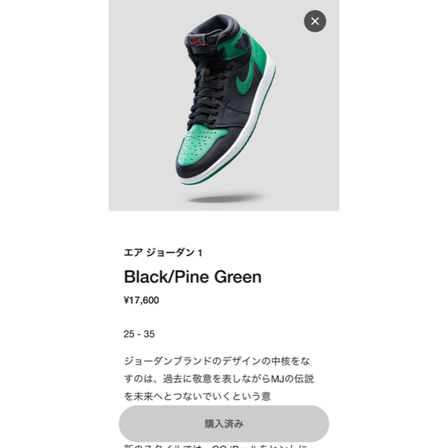 NIKE(ナイキ)のJORDAN 1 "BLACK/PINE GREEN"  28.5 メンズの靴/シューズ(スニーカー)の商品写真