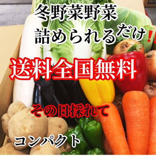 激安❗️おまかせ農家直送野菜コンパクト入る分だけ詰めます送料無料 食品/飲料/酒の食品(野菜)の商品写真