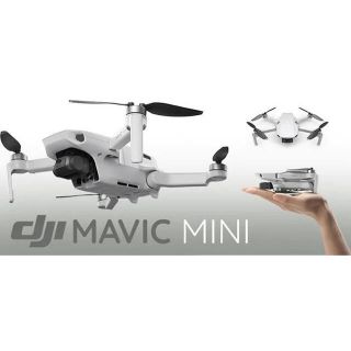 ゴープロ(GoPro)のmavic mini (ビデオカメラ)