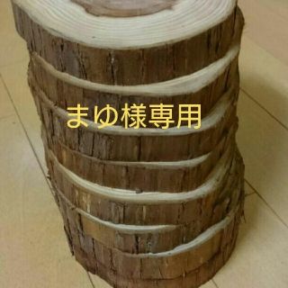 まゆ様専用 丸太 切り株輪切り(置物)