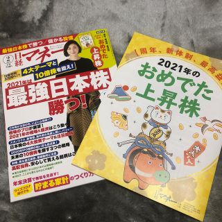 日経マネー 2021年 02月号(ビジネス/経済/投資)