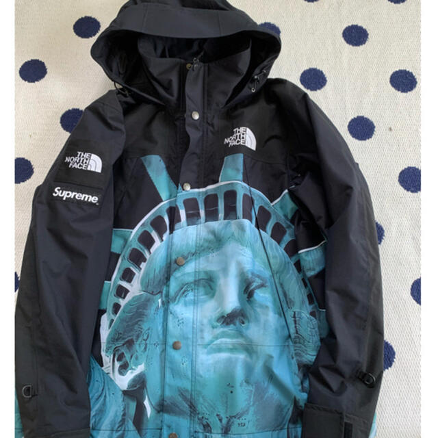 Supreme(シュプリーム)のSupreme the north face 自由の女神　Mサイズ メンズのジャケット/アウター(マウンテンパーカー)の商品写真