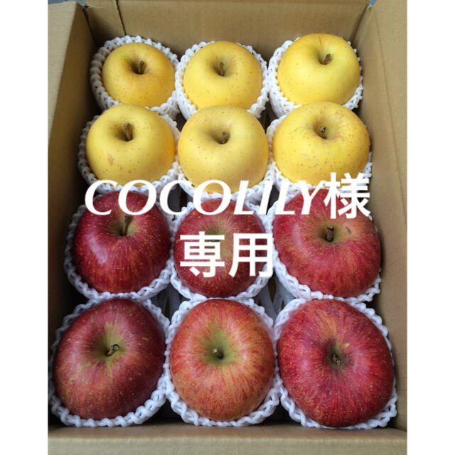 赤りんご青リンゴ様専用出品 2022春夏新色 inspektorat.madiunkota.go.id