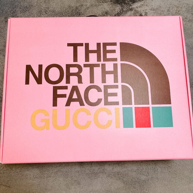 Gucci(グッチ)の【正規品・未使用】 GUCCI  THE NORTH FACE ダウン XS メンズのジャケット/アウター(ダウンベスト)の商品写真