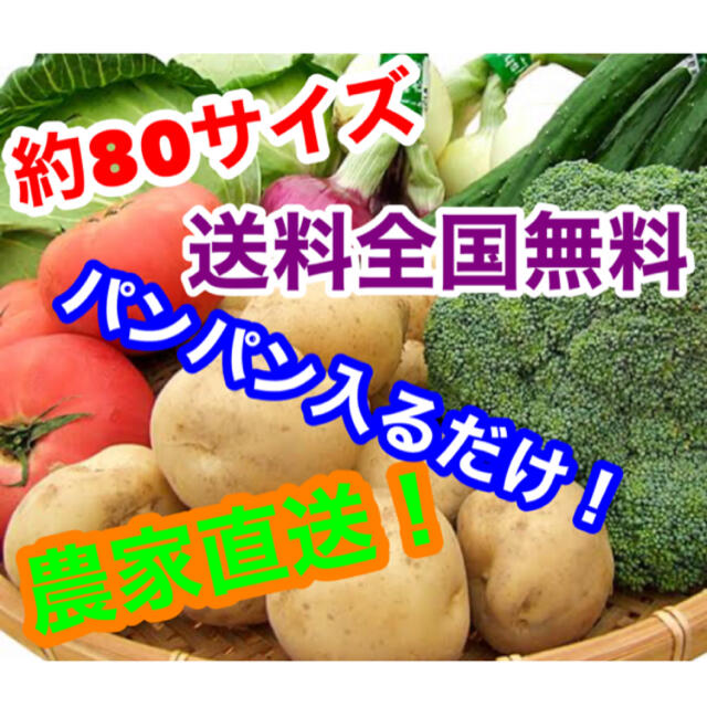 約80サイズ農家直送野菜詰め合わせパンパン入るだけ！限定セール中！ 食品/飲料/酒の食品(野菜)の商品写真