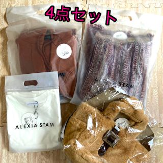 アリシアスタン(ALEXIA STAM)のアリシアスタン　4点セット　新品　パーカー　カーディガン　Tシャツ　バッグ(トレーナー/スウェット)