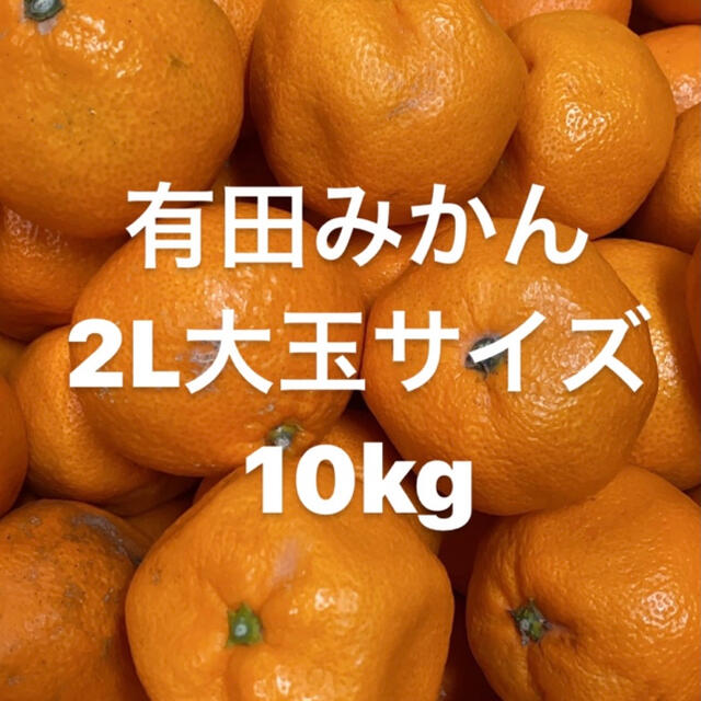 早生みかん訳あり　2L大玉サイズ　10kg入り‼️ 食品/飲料/酒の食品(フルーツ)の商品写真