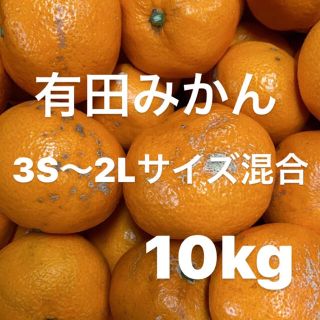 中生みかん訳あり　3S〜2Lサイズ混合　10kg入り‼️(フルーツ)