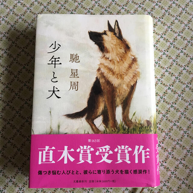 少年と犬 エンタメ/ホビーの本(文学/小説)の商品写真