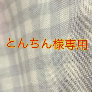 マスク(THE MASK)のとんちん様専用(外出用品)