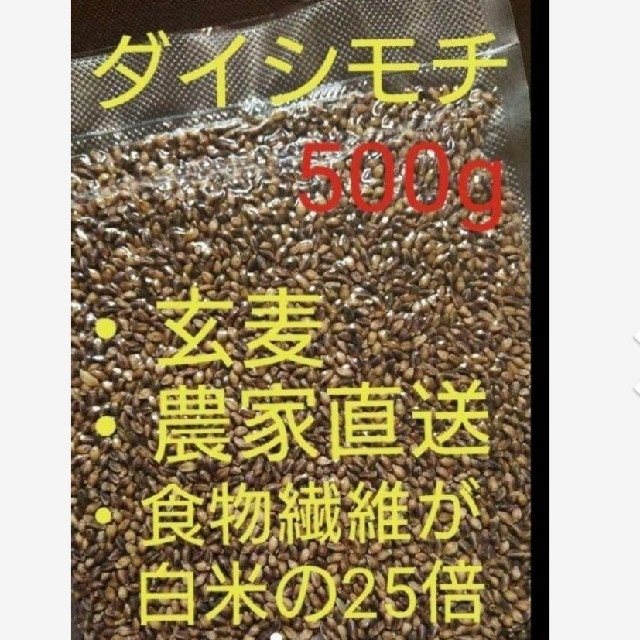 ダイシモチ 玄麦 食品/飲料/酒の食品(米/穀物)の商品写真