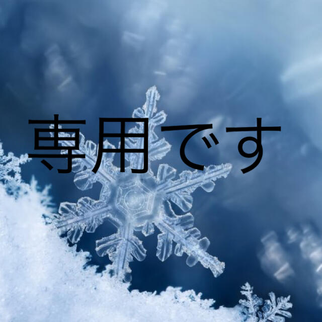 その他専用です❄︎