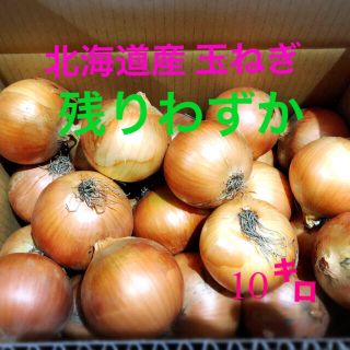 北海道産農家直送玉ねぎ 10キロ (野菜)