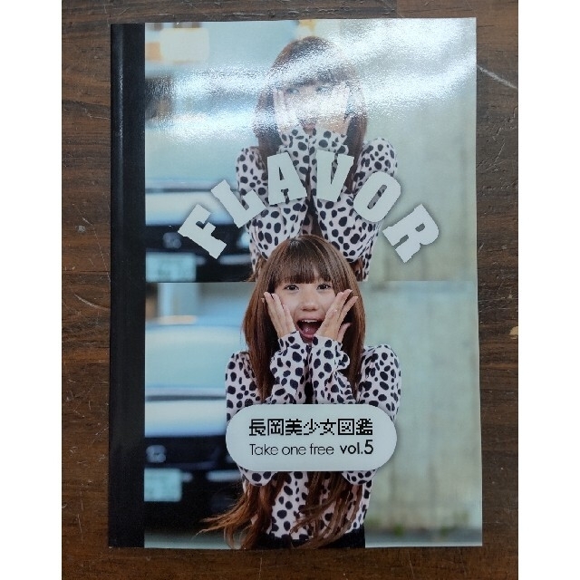 長岡美少女図鑑　2冊 エンタメ/ホビーの雑誌(アート/エンタメ/ホビー)の商品写真