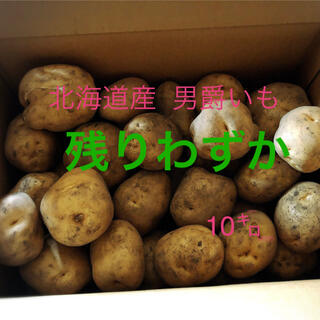 北海道産農家直送じゃがいも 10キロ(野菜)