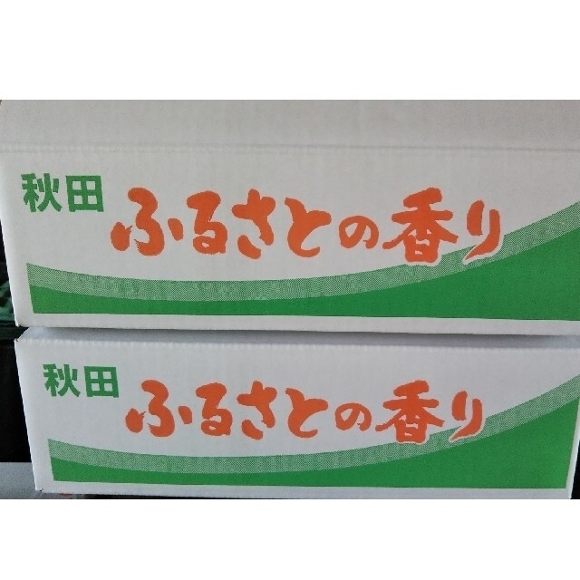 りんご 極小粒 18個入り 秋田県横手市産 品種「ふじ」  食品/飲料/酒の食品(フルーツ)の商品写真