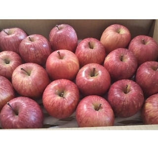 りんご 極小粒 18個入り 秋田県横手市産 品種「ふじ」 (フルーツ)
