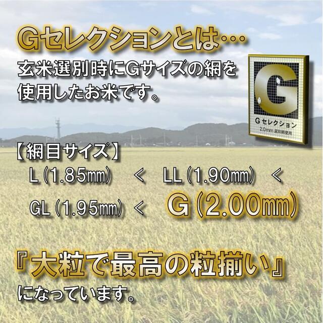 雪若丸新米　山形県庄内産　食べ比べセット　玄米20kg　Ｇセレクション