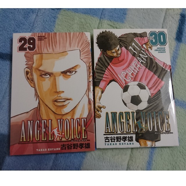 秋田書店(アキタショテン)のANGEL VOICE 29,30巻 エンタメ/ホビーの漫画(青年漫画)の商品写真