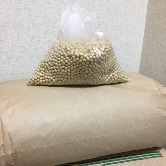 令和2年　秋田県産大粒大豆10kg  国産大豆　味噌　豆乳　納豆 2