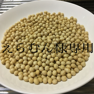 令和2年　秋田県産大粒大豆10kg  国産大豆　味噌　豆乳　納豆