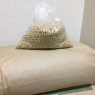 令和2年　秋田県産大粒大豆10kg  国産大豆　味噌　豆乳　納豆