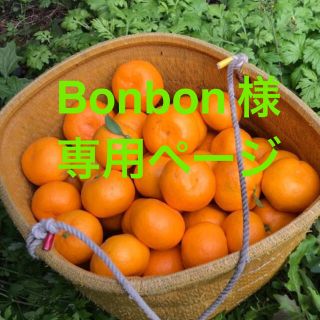 Bonbon 様　専用ページ(フルーツ)