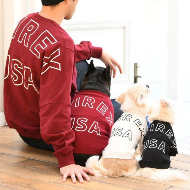 AVIREX(アヴィレックス)のAVIREX 犬服　ドッグウエア　アヴィレックス　FB-S その他のペット用品(犬)の商品写真