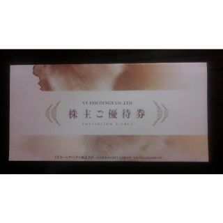 ＶＴホールディングス　株主優待券　１セット(その他)