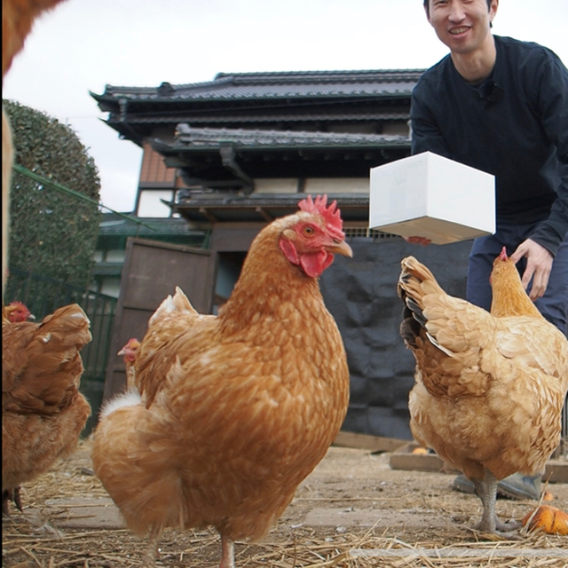 放飼い卵10個入り詰め合わせ(名古屋コーチン、ボリスブラウン、岡崎おうはん) 食品/飲料/酒の食品(その他)の商品写真