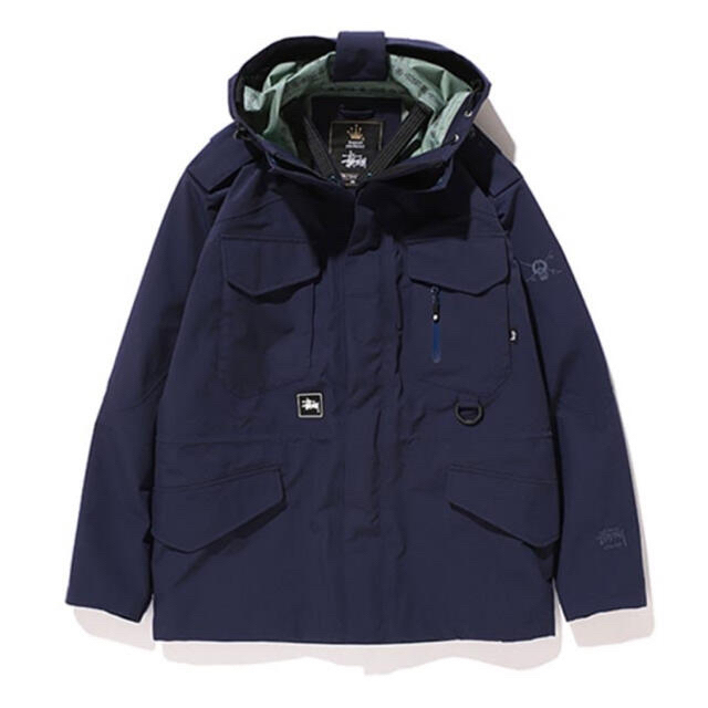 ステューシーSTUSSY マウンテンパーカーLサイズ　GORE-TEX