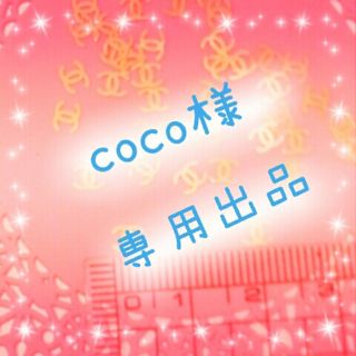 coco様★専用(その他)