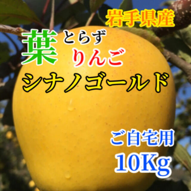 【送料込】葉とらずりんご シナノゴールド 約10kg 食品/飲料/酒の食品(フルーツ)の商品写真