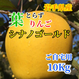 【送料込】葉とらずりんご シナノゴールド 約10kg(フルーツ)